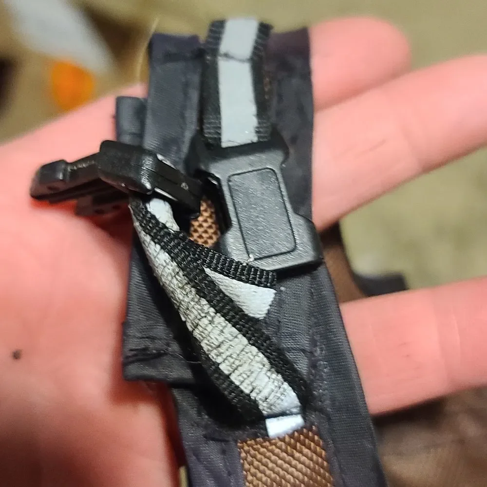 Small animal harness